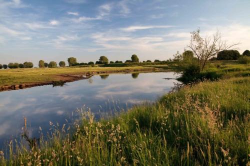 Niers bei Gennep kurz vor der Mündung 01.06.2017