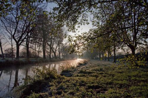 Niers bei Süchteln im Gegenlicht 27.11.2015