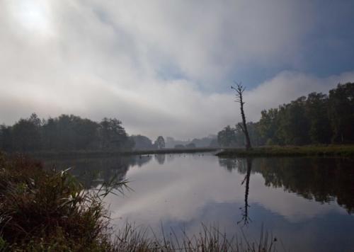 Rohrdommelprojekt Nebel 18.10.2017