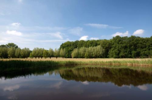 Teich an der Flootsmühle bei Hinsbeck 25.05.2018