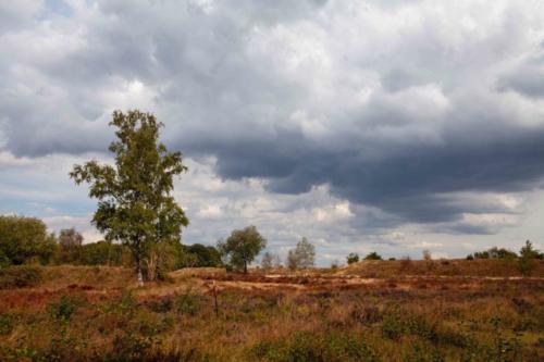 Wankumer Heide II 24.08.2018